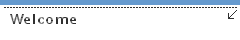 Welcome